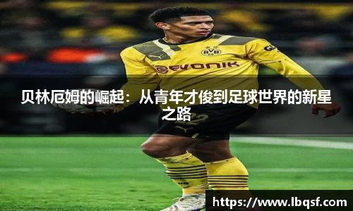 PA视讯官网
